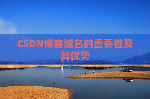 CSDN博客域名的重要性及其优势